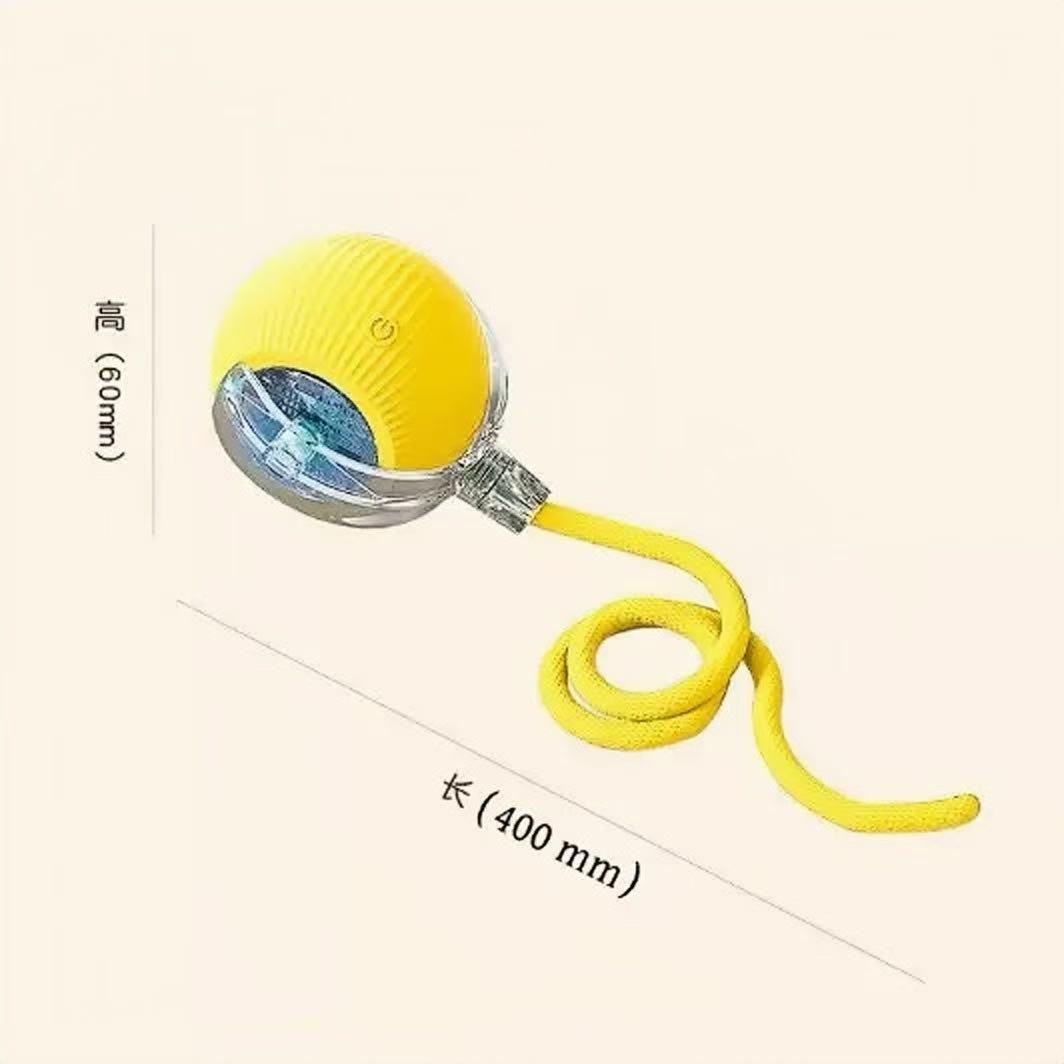 Cross-Border Cat Teaser Ball Pet Toy Ball Dog and Cat Self-Entertainment Boredom-Relief Gadget Pet Supplies Cat Toy Pet Toy