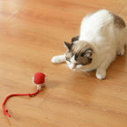 Smart Self-Rolling Cat Ball - Automatic Interactive Toy