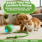 Smart Self-Rolling Cat Ball - Automatic Interactive Toy